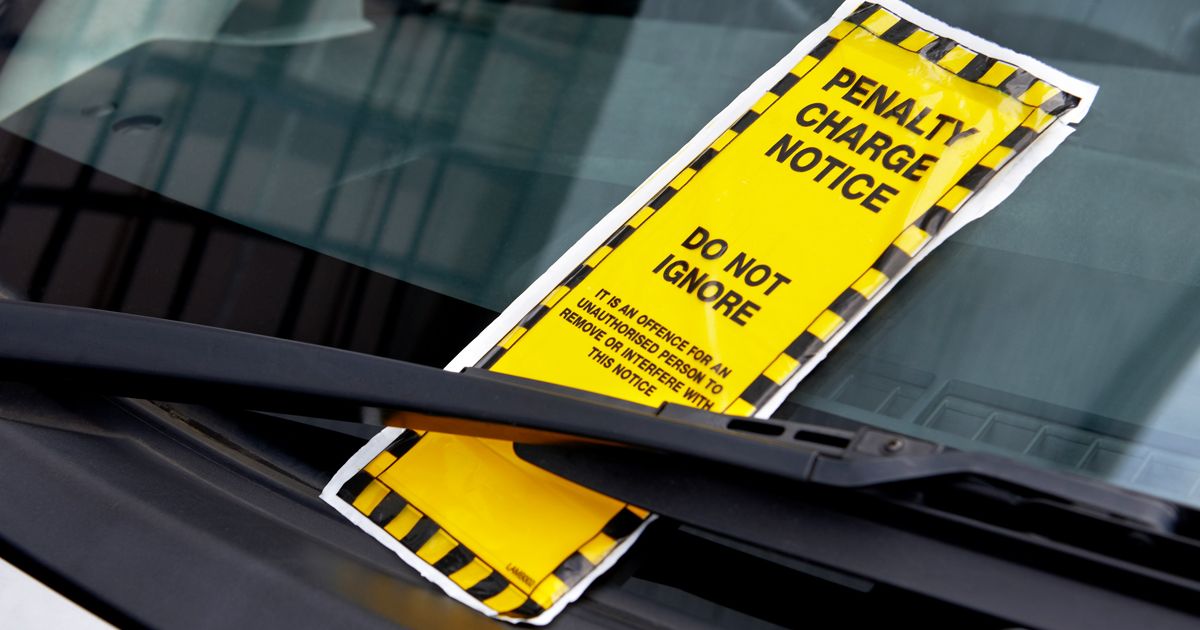 D. Ticket strappato dalle mani dell’automobilista e buttato a terra: deve essere condannata la parcheggiatrice abusiva?